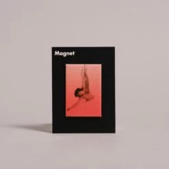 Carolee Schneemann Up To And Including Her Limits Magnet