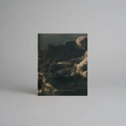 Anxiety: Meditations On The Anxious Mind