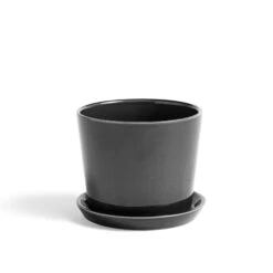 Anthracite Botanical Pot And Saucer