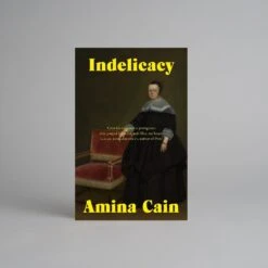 Indelicacy By Amina Cain