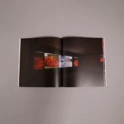 Precarious - Carolee Schneemann 9 Precarious - Carolee Schneemann -Books Store Precarious2