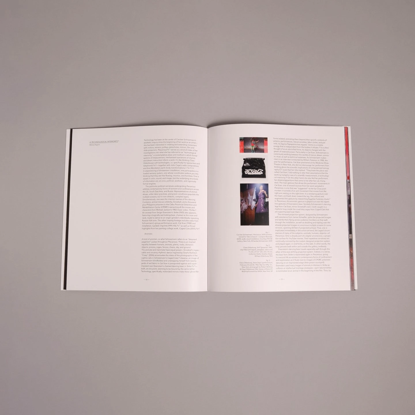 Precarious - Carolee Schneemann 6 Precarious - Carolee Schneemann - Image 4