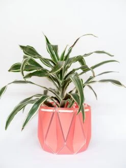 Large POTR Pot 10 Large POTR Pot -Books Store Testimage10 57