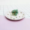 Urban Succulent Jewellery Dish -Books Store URB DIS SU 1 480x480 904831a2 cdd4 4c24 a4ad 465c42680c27