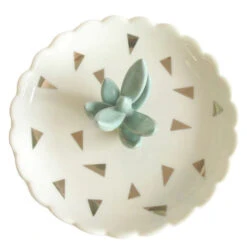 Urban Succulent Jewellery Dish -Books Store urbdissu 2 480x480 d3d70632 3b23 494a 9045 15b2b91ddfc2